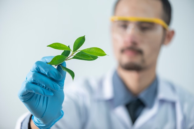 green biodegradable nonwoven towel Scientist holding a green plant